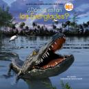 [Spanish] - ¿Dónde están los Everglades? (Where Are the Everglades? Spanish Edition) Audiobook