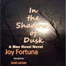 In the Shadows of Dusk: A Max Rossi novel Audiobook