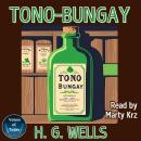 Tono-Bungay Audiobook