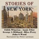Stories of New York Audiobook