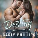 Destiny Audiobook