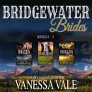 Bridgewater Brides Series Boxed Set, Books 9–11 Audiobook