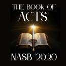 The Book of Acts: NASB 2020 Audiobook