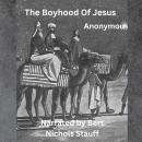 The Boyhood of Jesus Audiobook