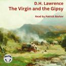 The Virgin and the Gypsy Audiobook