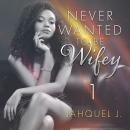 Never Wanted To Be Wifey Audiobook