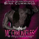MC Chronicles: The Diary of Bink Cummings Vol 3 Audiobook