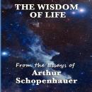 The Wisdom of Life Audiobook