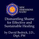 Dismantling Shame for Effective and Sustainable Healing Audiobook