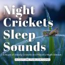 Night Crickets Sleep Sounds: 5 Hours of Steady Crickets and Peaceful Night Silence Audiobook