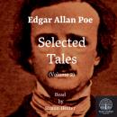 Edgar Allan Poe - Selected Tales (Volume 2) Audiobook