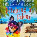 Fetching a Felony Audiobook