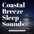Coastal Breeze Sleep Sounds: 5 Hours of Soft Ocean Wind and Open Coastal Air Audiobook