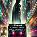 Blindspot Audiobook