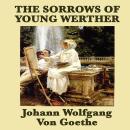 The Sorrows of Young Wether Audiobook