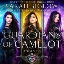 Guardians of Camelot Volume 1: (Books 1-3) Audiobook