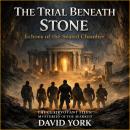 The Trial Beneath Stone: Echoes of the Sealed Chamber Audiobook