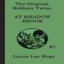 The Bobbsey Twins at Meadow Brook Audiobook