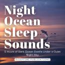 Night Ocean Sleep Sounds: 5 Hours of Dark Ocean Swells Under a Quiet Night Sky Audiobook