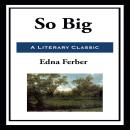 So Big Audiobook