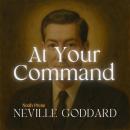At Your Command Audiobook