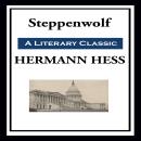 Steppenwolf Audiobook