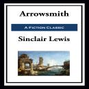 Arrowsmith Audiobook