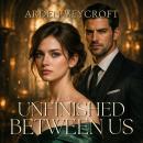Unfinished Between Us Audiobook