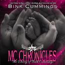 MC Chronicles: The Diary of Bink Cummings Vol 4 Audiobook