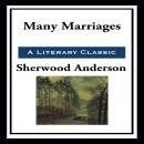 Many Marriages Audiobook
