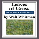 Leaves of Grass 1855 Audiobook