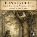 Fundevogel Audiobook