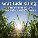Gratitude Rising, Day 3: A Guided Meditation: Daily Abundance and Affirmations Audiobook