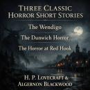 Three Classic Horror Short Stories: The Wendigo, The Dunwich Horror, and The Horror at Red Hook Audiobook