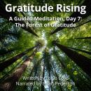 Gratitude Rising, Day 7: A Guided Meditation: The Forest of Gratitude Audiobook