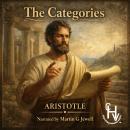 The Categories Audiobook