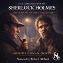 Adventures of Sherlock Holmes - The Man with the Twisted Lip Audiobook