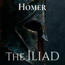 The Iliad Audiobook