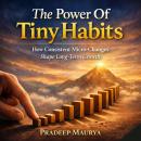 The Power Of Tiny Habits: How Consistent Micro-Changes Shape Long-Term Growth Audiobook