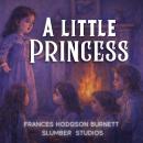 A Little Princess: A soothing reading for sleep and relaxation Audiobook