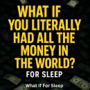 What If You Literally Had All the Money in the World Audiobook