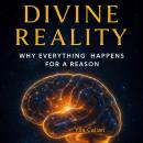 Divine Reality: Why Everything Happens for a Reason Audiobook