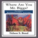 Where Are You Mr. Biggs? Audiobook