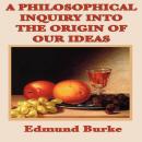 A Philosophical Inquiry Into the Origin of Our Ideas Audiobook