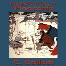 The Adventures of Pinocchio Audiobook