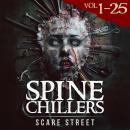 Short Horror Stories: Spine Chillers Volumes 1 - 25: Scary Ghosts, Paranormal & Supernatural Monsters Audiobook