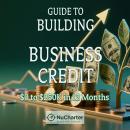 GUIDE TO BUILDING BUSINESS CREDIT: $0 to $250K in 12 Months Audiobook