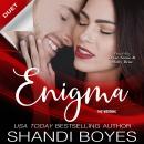 Enigma: The Wedding Audiobook