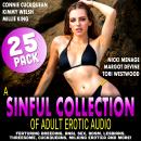 A Sinful Collection of Adult Erotic Audio: Featuring Breeding, Anal Sex, BDSM, Lesbians, Threesome,  Audiobook