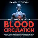 Naturally Boost Your Blood Circulation: Heal Your Circulatory and Immune Systems to Prevent Disease, Audiobook